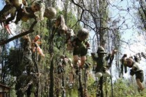 世界最恐怖的鬼前十大（世界上最恐怖的鬼鬼片）