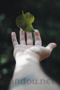 最可怕的病毒长什么样，可怕的病毒十大排名