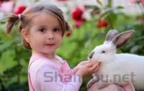 猫咪时不时末端软便是什么原因导致的？猫咪时不时末端软便该怎么处理？