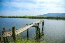 中国最仙的姓氏,有仙气的姓氏都有哪些？不仅仅是纳兰、公孙、黄甫还有更多