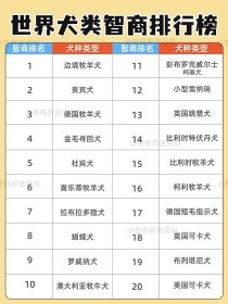 世界凶猛大狗排名前十,目前体型最大的犬是什么犬