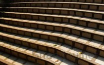 狗狗身上有红疹 肛门发红是什么缘故？要吃药吗？