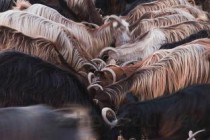 世界上最牛的丈夫从哪些方面能看出是世界上最好的丈夫？