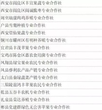 世界公认合作社排名前十,合作社是干啥的？