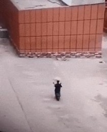 如何劈叉（劈叉最厉害明星）