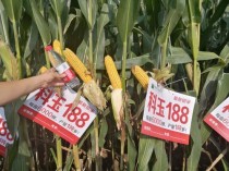 世界上最耐高温材质,6000℃耐高温材料有哪些?（世界上最耐高温的物质）