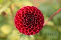 世界上最可怕的菜，世界上最疯狂的菜系