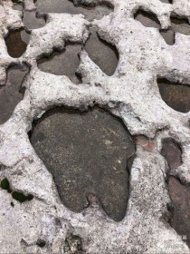 中国最坑的石头天坑的详细资料 急！！！！！！！！！！！！！！！！！！！！！！！！！！