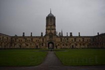 猛禽实力排行榜，猛禽寿命十大排名