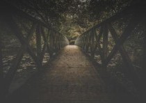 公狗尿道口有黄色液体是什么状况？该咋整？