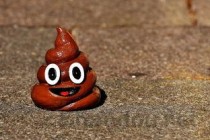 猫咪排完尿还有血是什么原因？猫咪排完尿还有血怎么办？