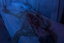 世界上最恐怖的鬼月（世上最恐怖的鬼长什么样）