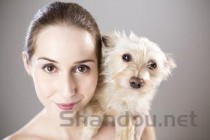 狗狗皮肤有大块结痂有渗出物是什么情况？要怎么处理？