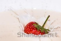 猫咪流鼻涕流口水有呕吐状是怎么回事？要怎么改善？