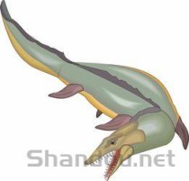 最古老的鱼种，世界上最古代的鱼是什么