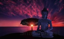 猫猫一直抽搐站不稳是啥缘故？猫猫一直抽搐站不稳该用什么办法？