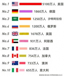 世界海外族裔排名前十位（世界少数民族排名表）