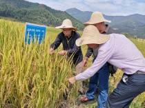 世界奇葩农业排名榜前十南美富国“智利”，究竟有多疯狂？看完智利地图，网友：太奇葩了
