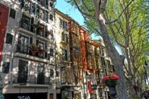 杨林最好吃十大排名店，杨林美食街