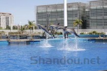 最猛的中国酒店最猛的中国酒店视频