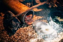 中国最恐怖打鼓，中国最恐怖的乐器