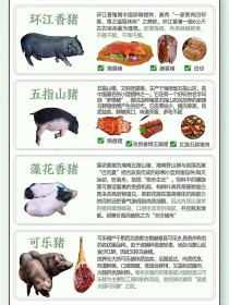 最稀有的中国土猪排名（最稀有的中国土猪排名榜）