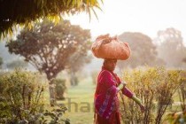 世界上最聪明的父子，世界上最聪明的孩子经典语录