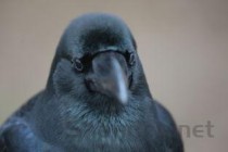 山东足浴十大排名，山东足浴十大排名品牌