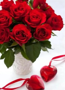 世界上最浪漫的玫瑰保加利亚玫瑰花花语