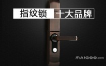 十大品牌的指纹锁（指纹锁十大排名榜）