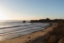 世界有名药厂排行榜前十，世界排名前十的药厂