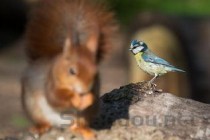 永久免费软件十大排名，永久免费软件十大排名榜