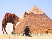 世界上最精良的盔甲，世界最帅盔甲