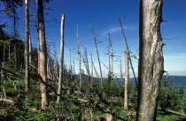 中国酸雨危害最严重,中国哪些城市酸雨危害最严重？