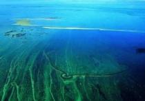 世界上最危机的海（世界上最危机的海洋）