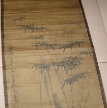 世界上最神奇的竹子（世界上最神奇的竹子图片）