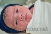 狗狗面部溃烂流脓，为何会这样？狗狗面部溃烂流脓该咋办？