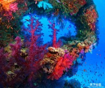 世界上最奇幻的海洋视频,想要了解海洋的奥秘，这80部海洋类纪录片不容错过！