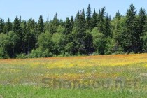 厨卫水槽品牌排行榜，厨卫水槽十大排名