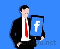 人寿保险品牌，人寿险十大排名