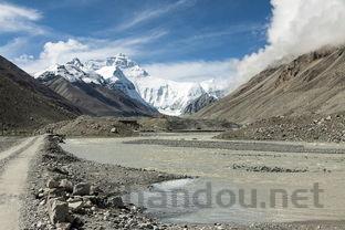 中国十大鲸鱼,中国最顶级的鲸鱼