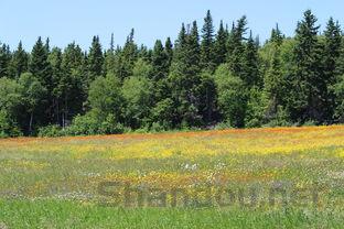 厨卫水槽品牌排行榜,厨卫水槽十大排名