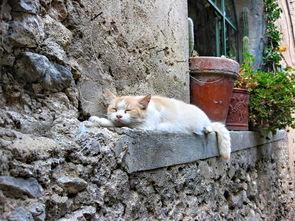 世界最牛狂人排名前十,全球十大狂人