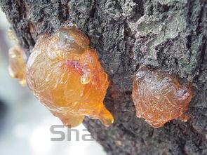 世界上什么最危险,世界上最危险的是什么