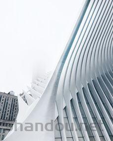 猫咪左边脸部肿起左面嘴角红肿怎么弄会好?