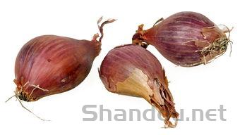 小狗嗓子卡卡的是什么情况?小狗嗓子卡卡的该咋整?