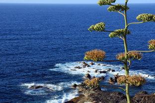 山西铸铁锅十大排名,山西哪里生产铸铁炉