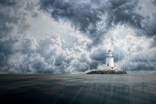 狗狗发热不退烧呕吐疑似吐血的缘由何在?该咋办?