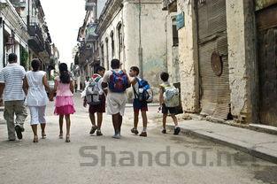 猫咪眼角总分泌出白色细条状物要怎么弄?