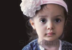 幼猫拉的黄色稀便是怎么回事?幼猫拉的黄色稀便该如何是好?